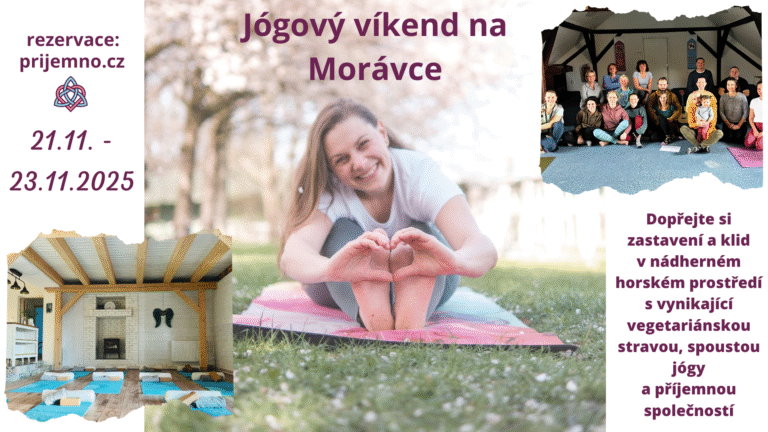 Kopie navrhu 🧲 sablona akce cover 8