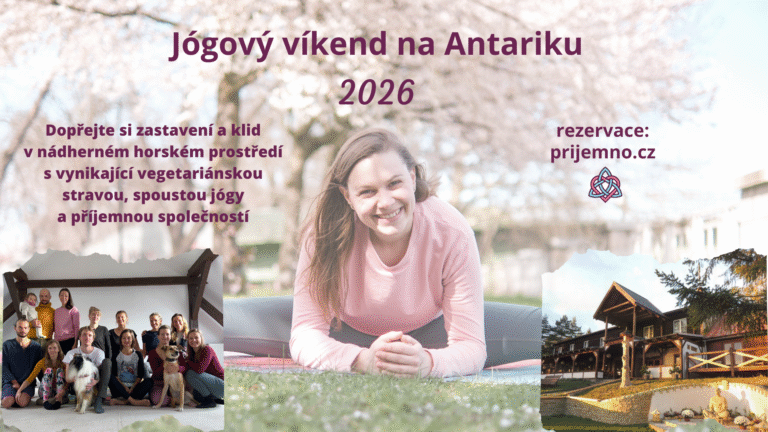 Kopie navrhu 🧲 sablona akce cover 10